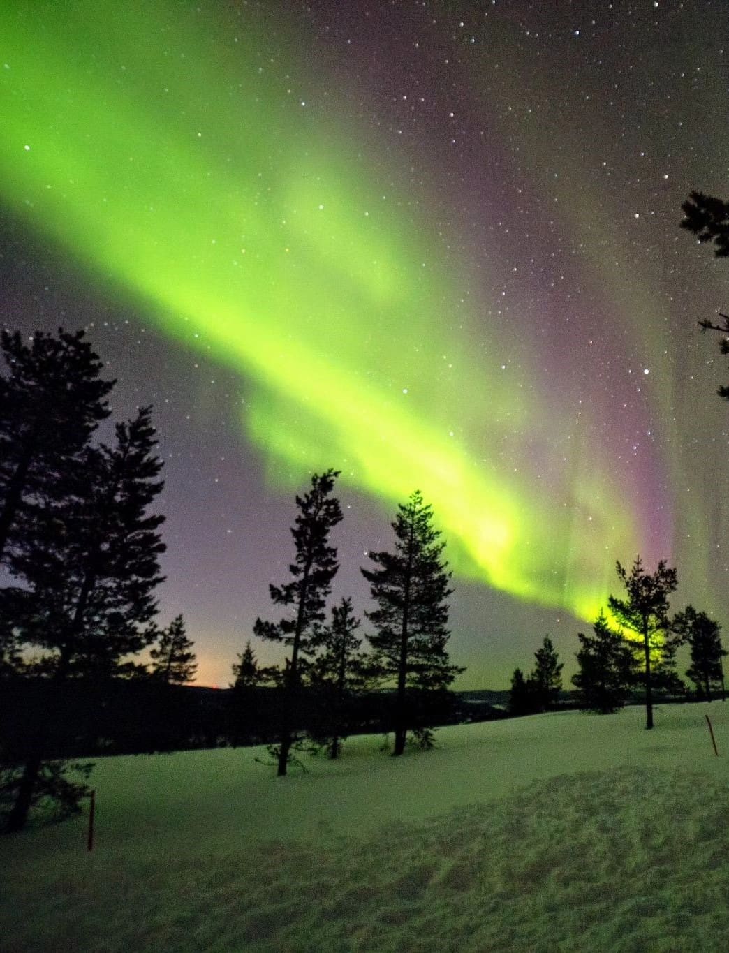 Northern Lights in Swedish Lapland