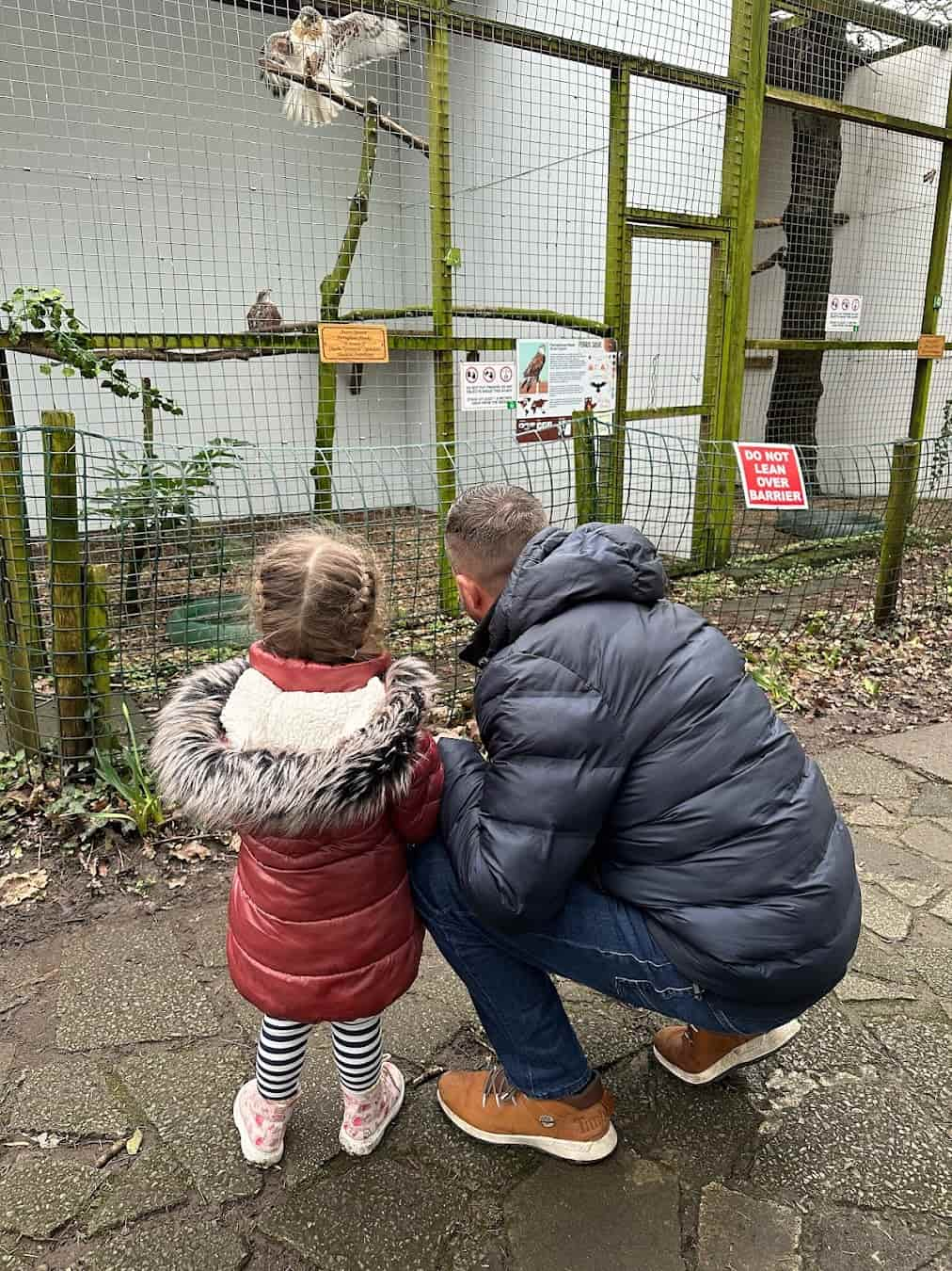 Owl & Bird of Prey Sanctuary, Preston