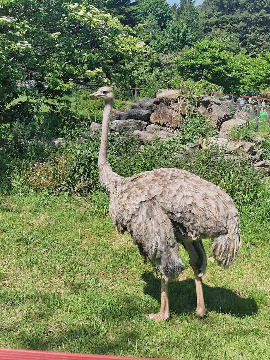 Paignton Zoo Environmental Park