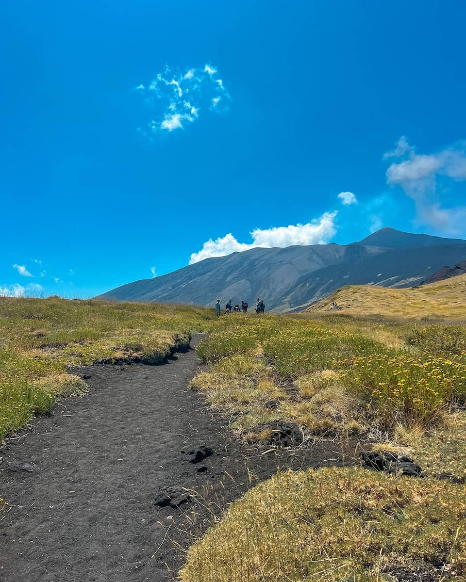 Trip from Palermo: Mount Etna