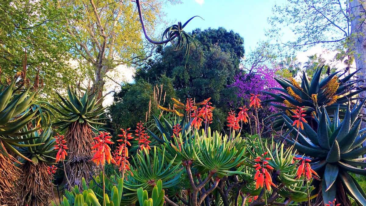 Palermo: botanical gardens