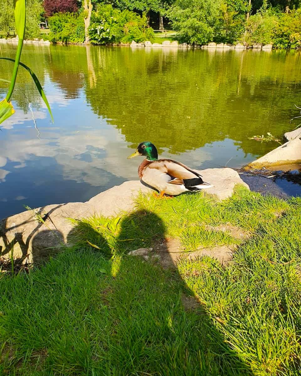 Parc Léo Lagrange, Reims