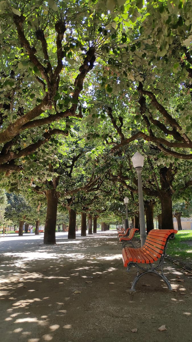 Parque Manuel Braga Coimbra