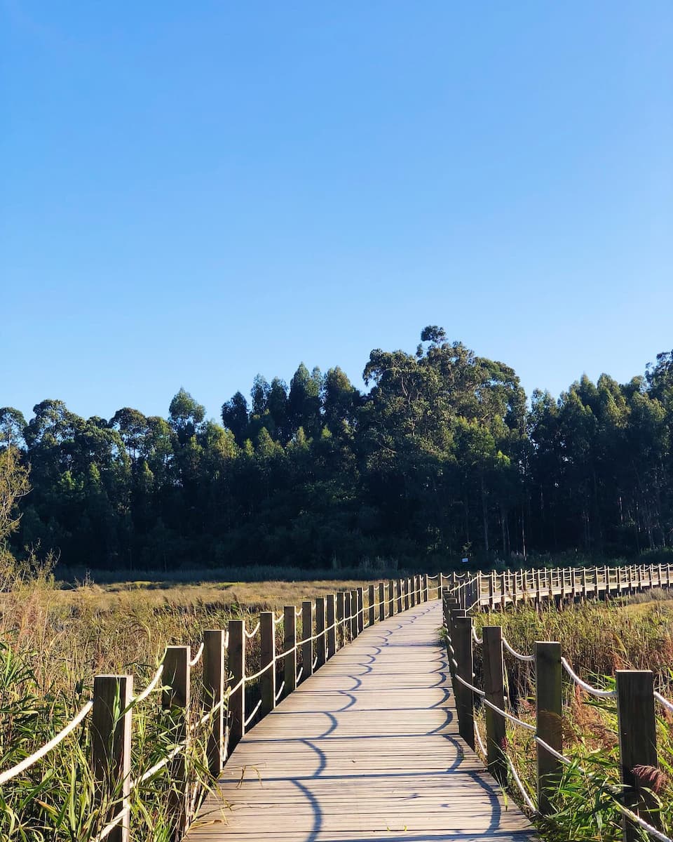 Passadiços Ria de Aveiro