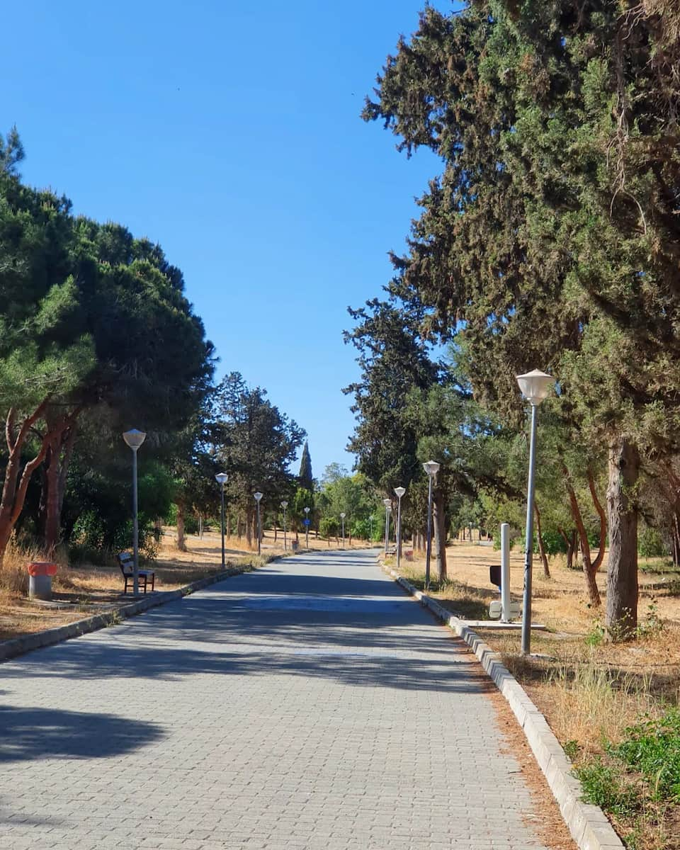 Pattihio Forest Park, Larnaca