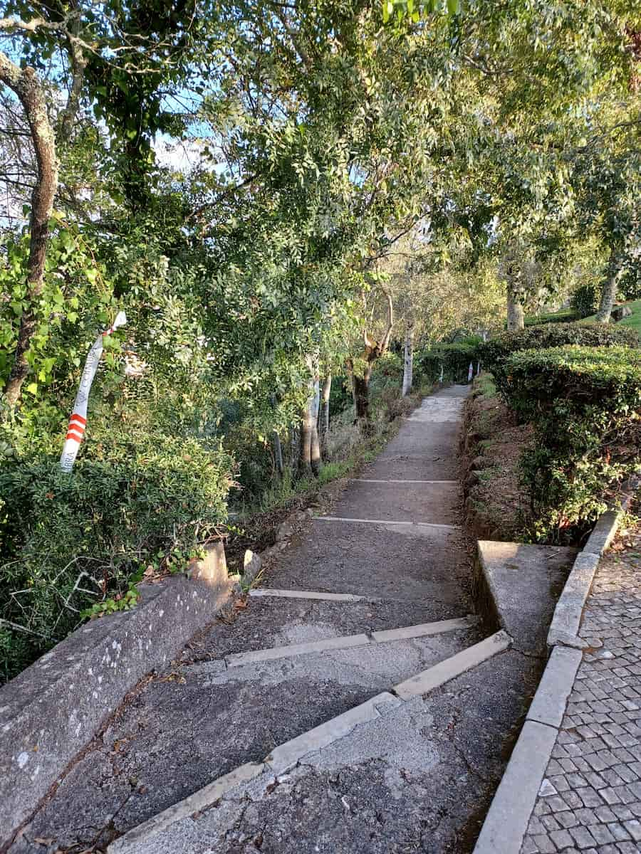 Penedo da Saudade Coimbra