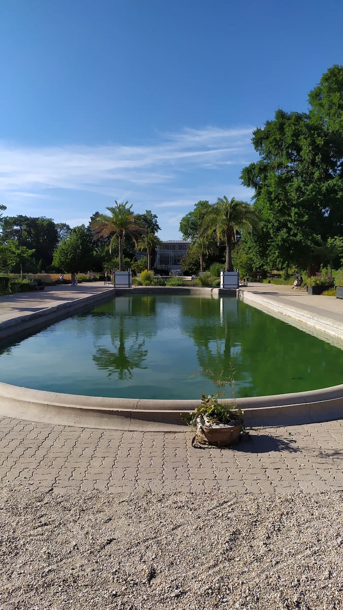 Plantes in Rouen Normandy