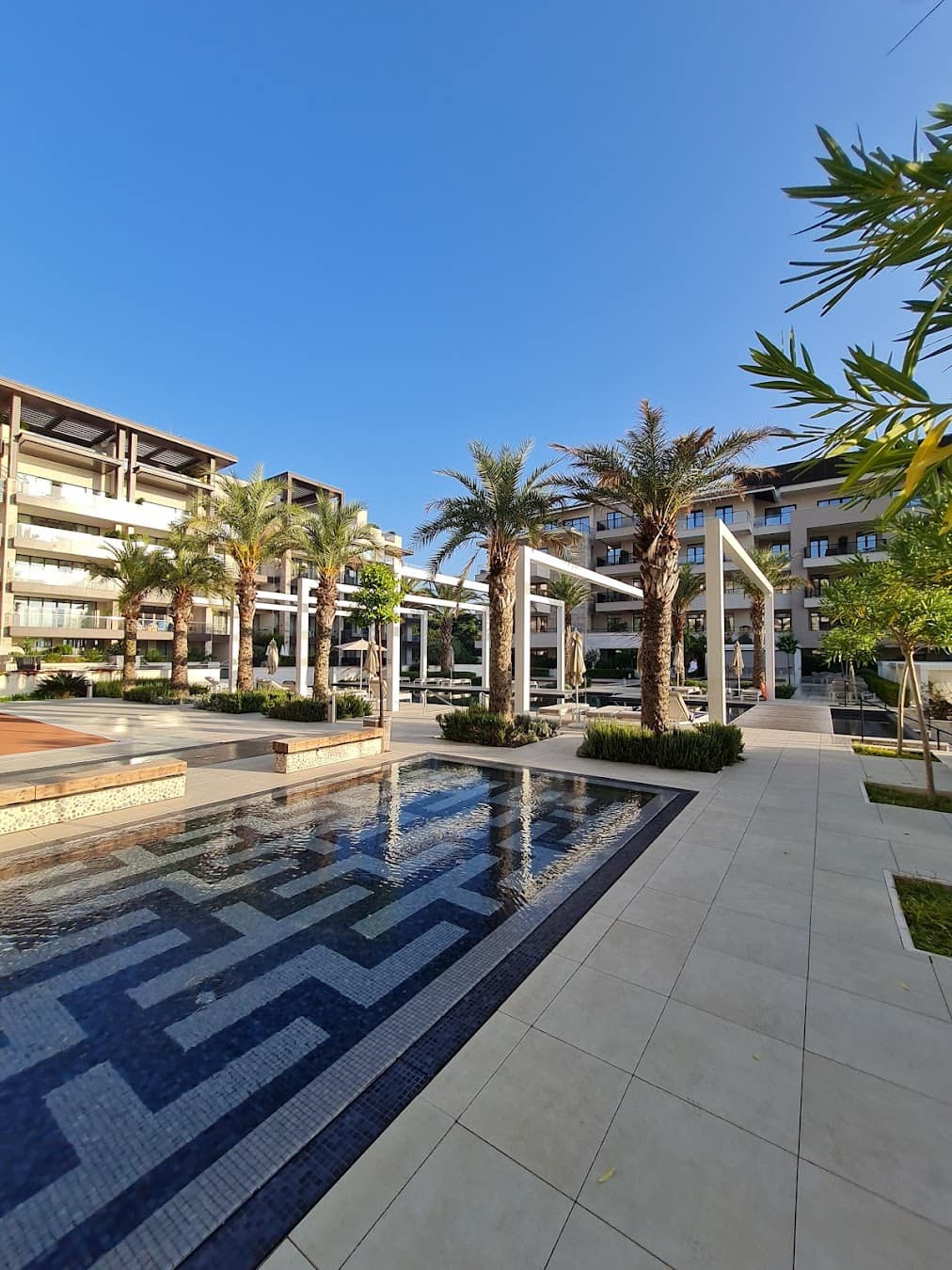 Porto Montenegro Courtyard With Palm Trees