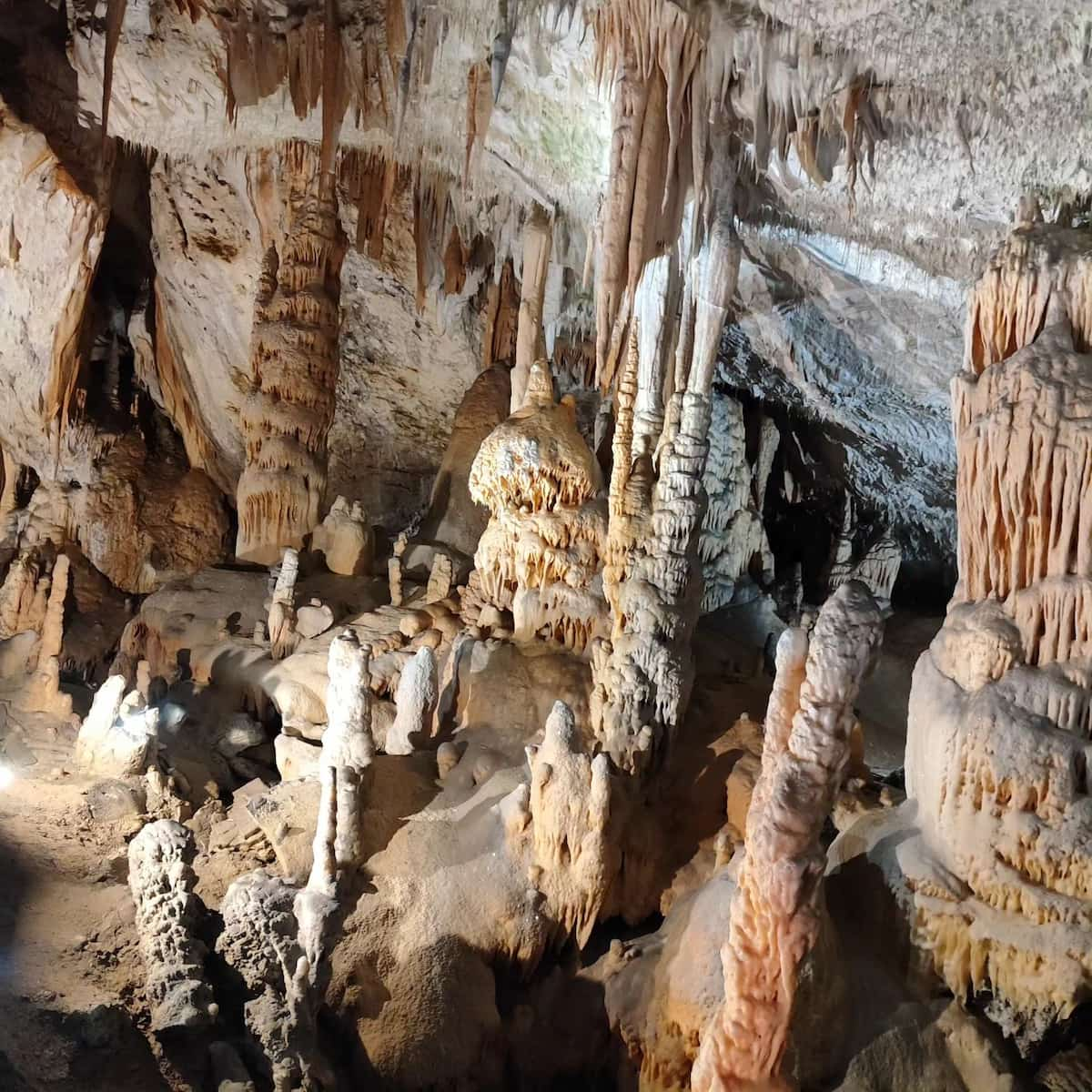 Postojna Cave