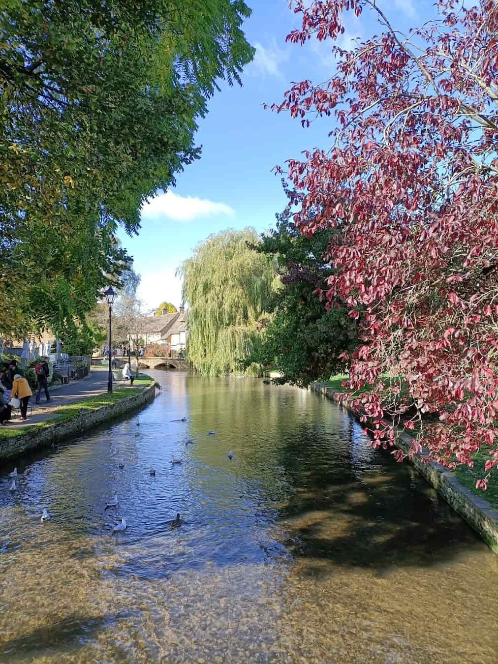 River Windrush, England