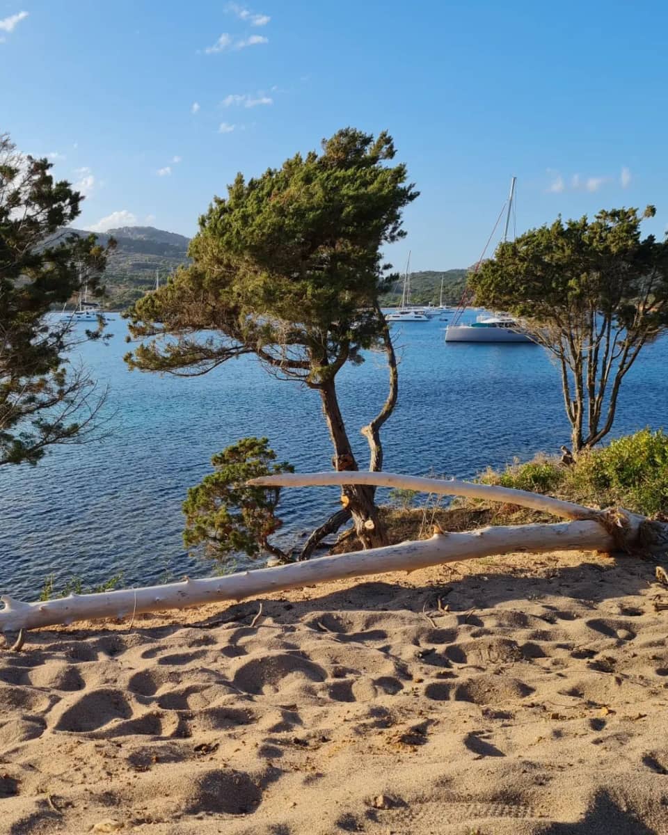 Rondinara Beach, Corsica