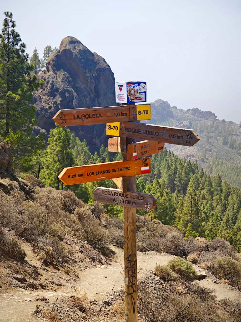 Roque Nublo Pointer, Gran Canaria