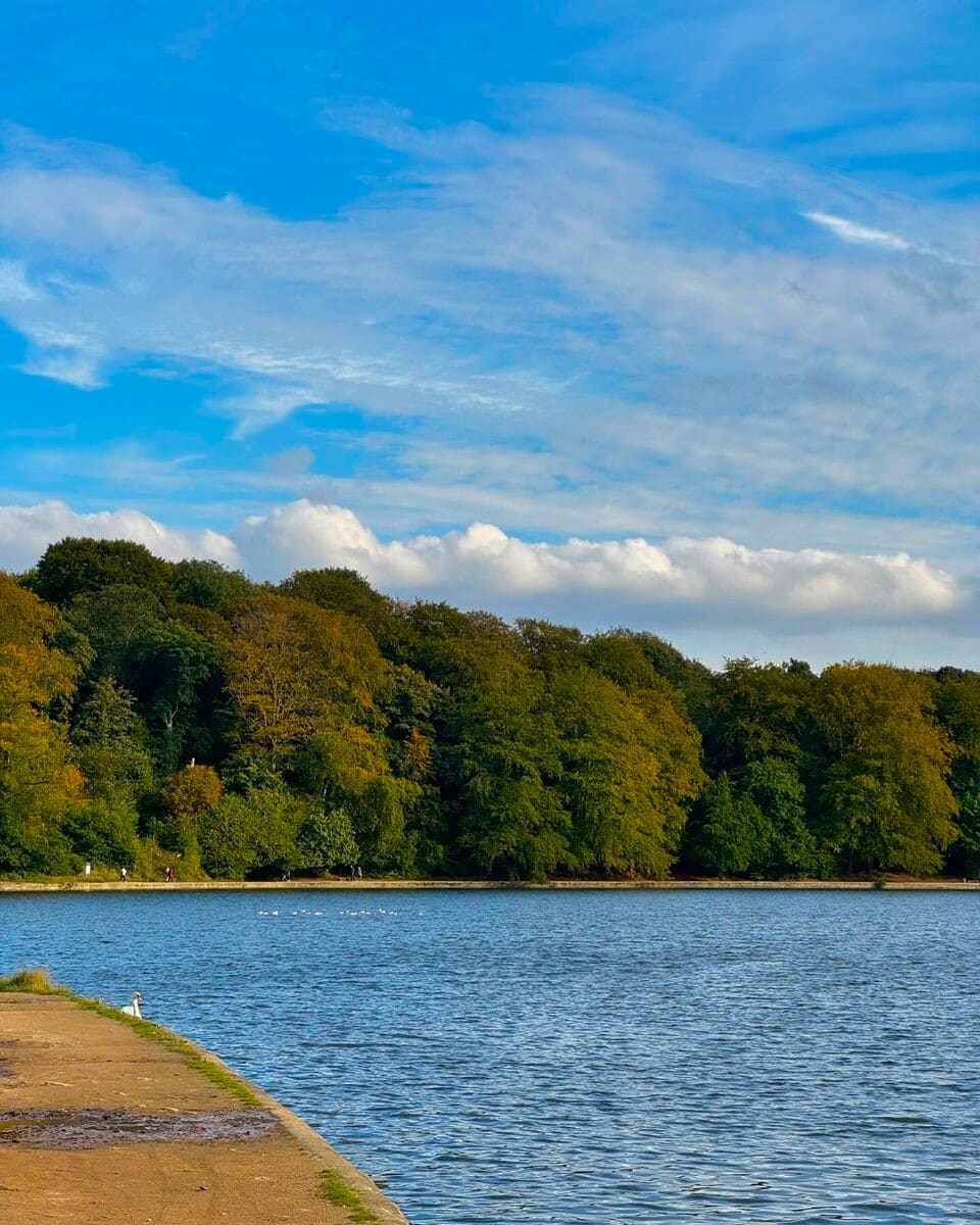 Roundhay Park, Leeds