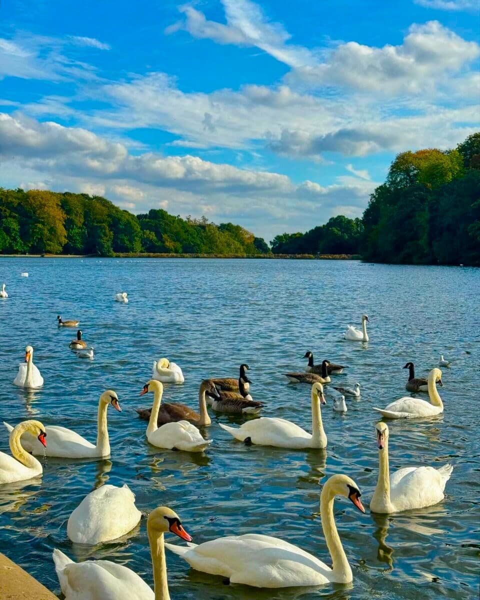 Roundhay Park, Leeds