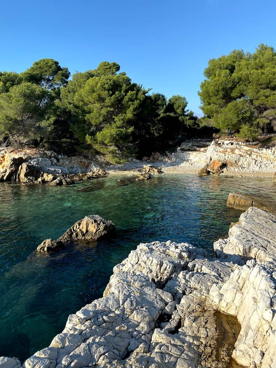 Sainte-Marguerite Island, Cannes