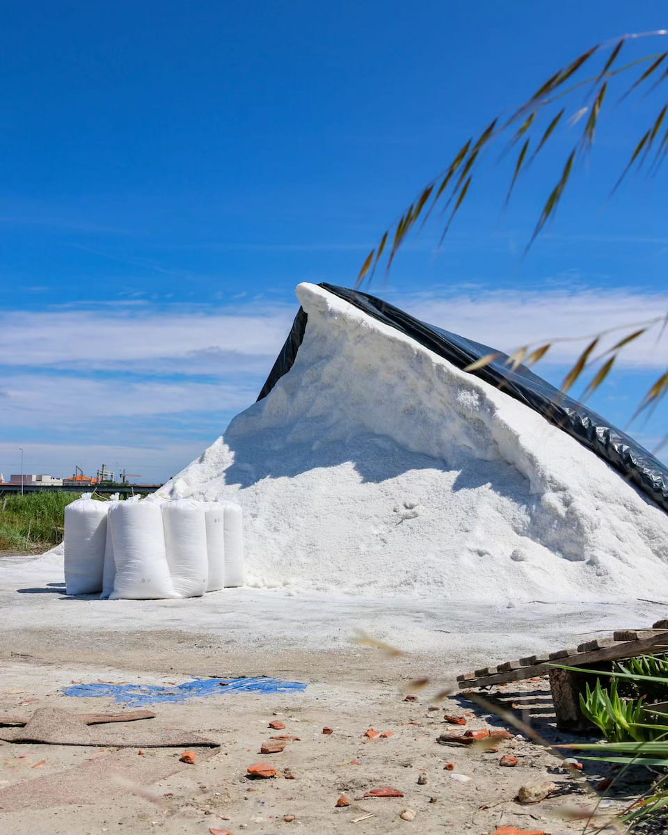 Salinas de Aveiro