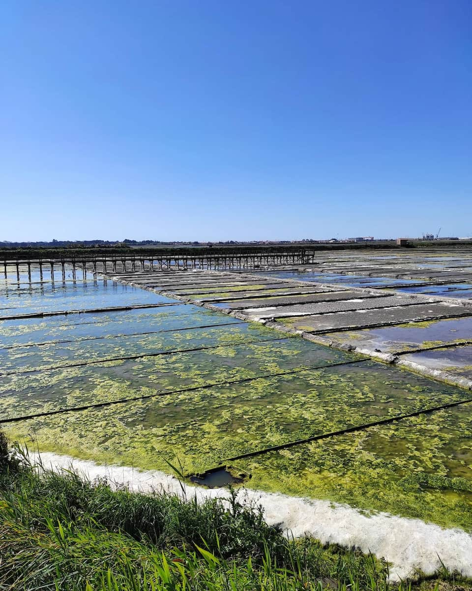 Salinas de Aveiro