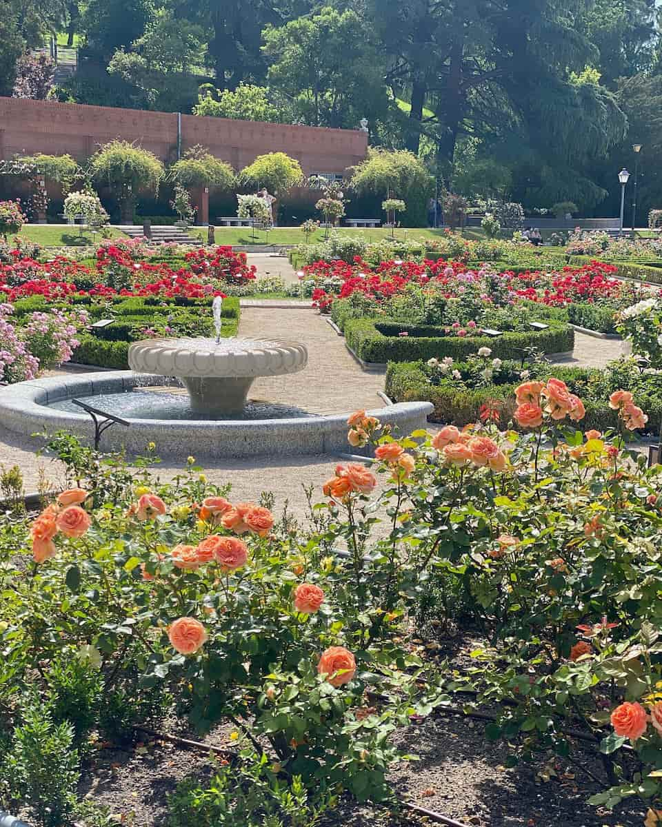 San Sebastian: Concurso Internacional de Rosas Nuevas