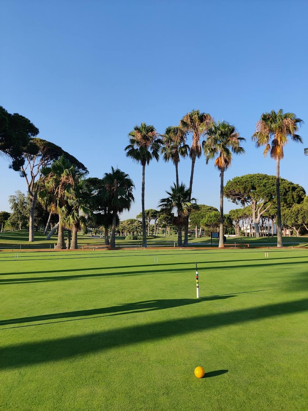 Santa María Cricket, Spain