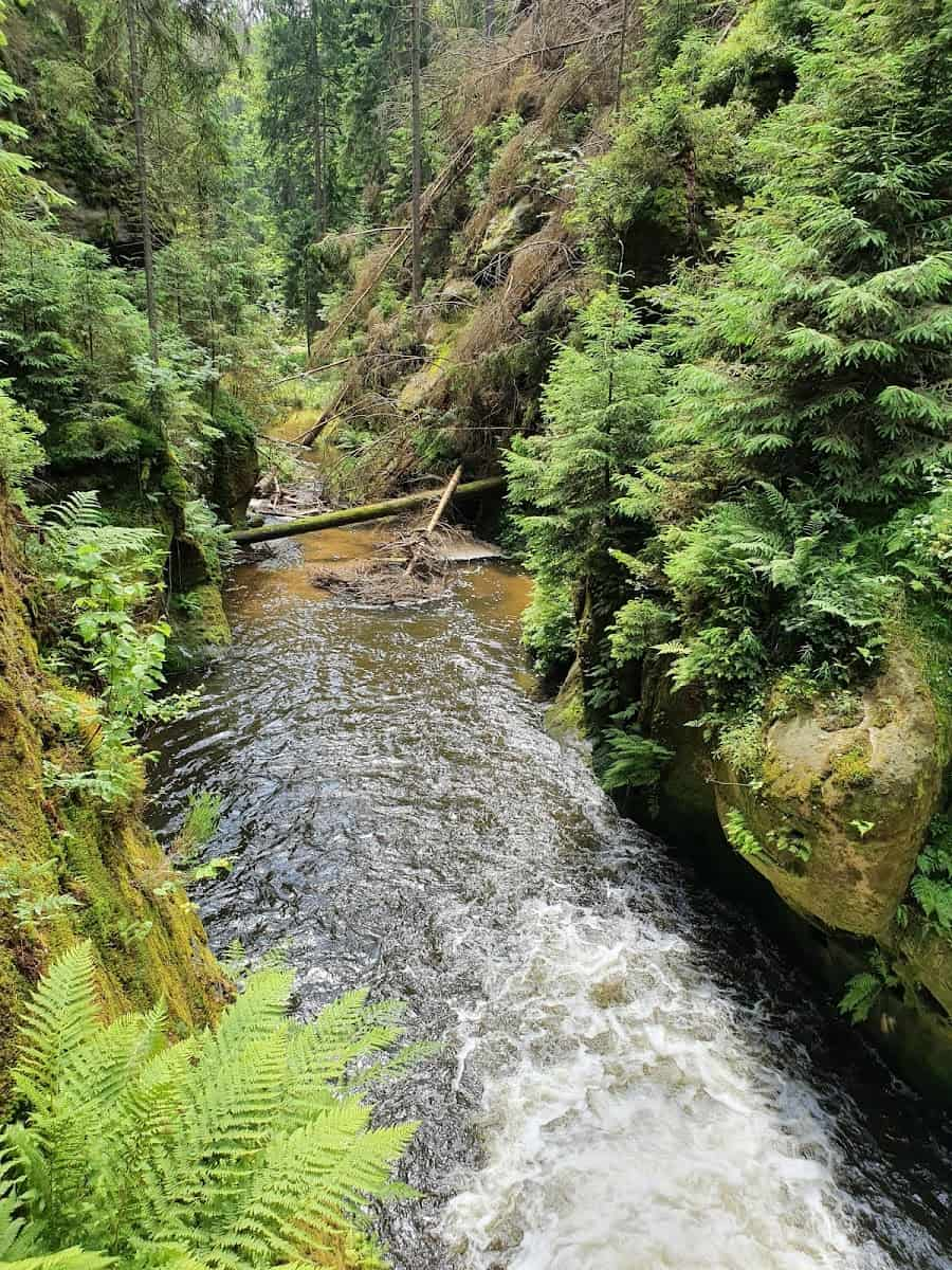 Saxon Switzerland National Park