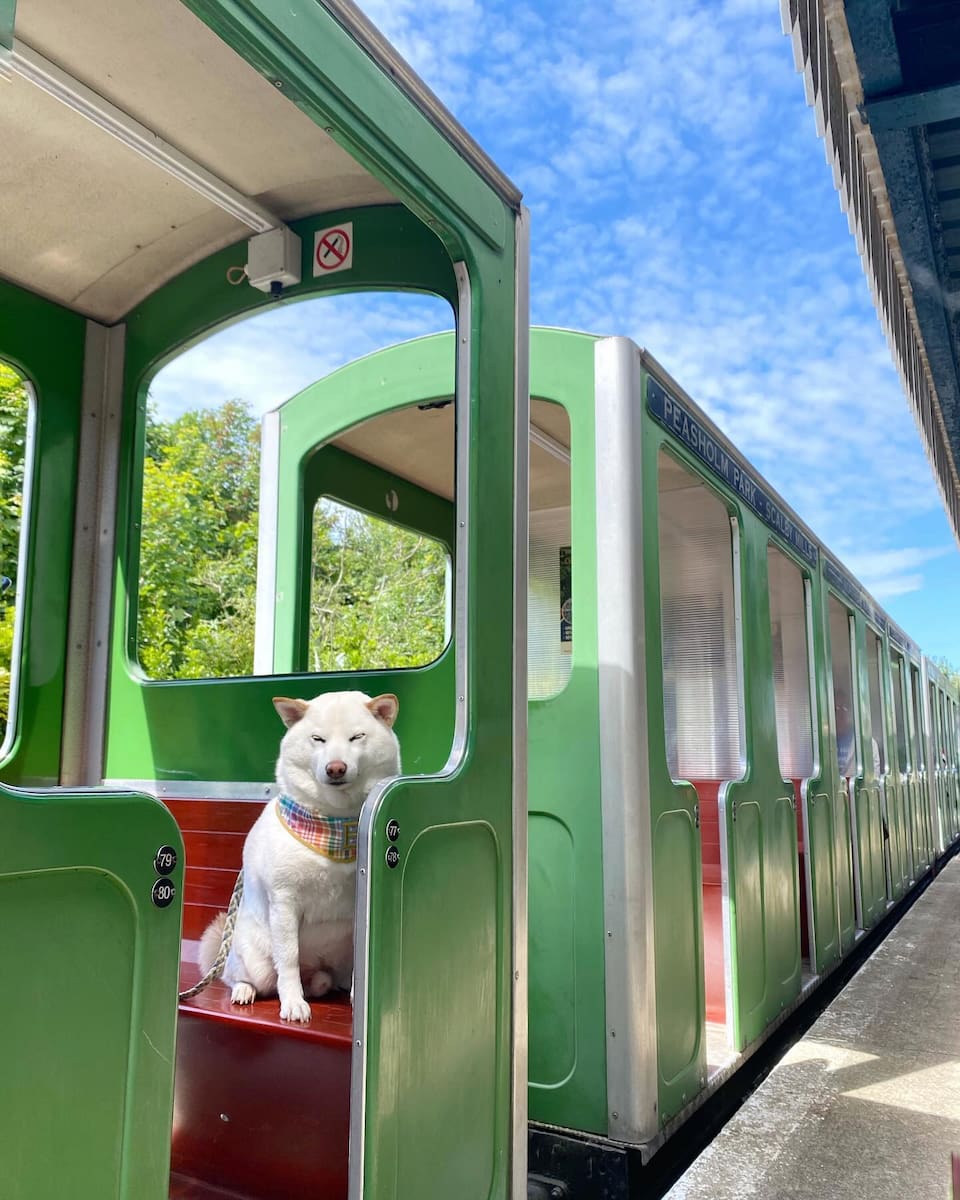 Scarborough, North Bay Railway