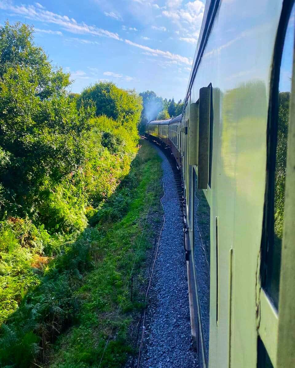 South Devon Railway, Devon