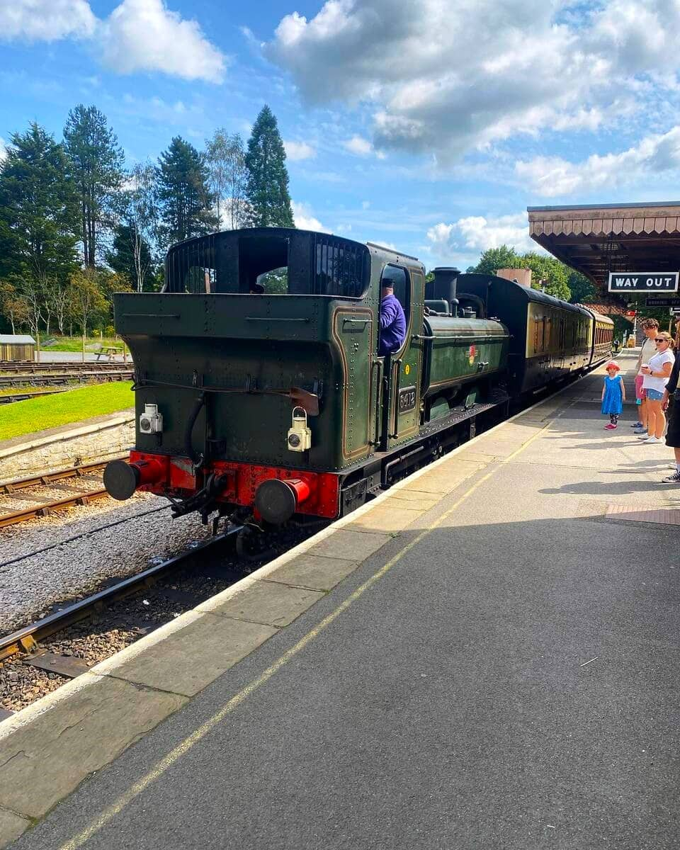 South Devon Railway, Devon