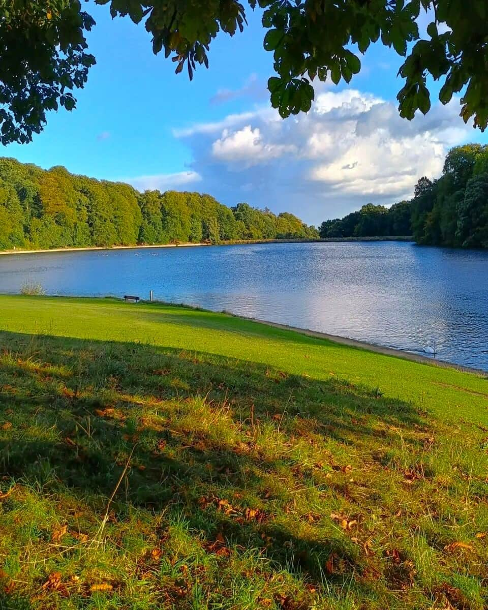 Spring in Roundhay Park