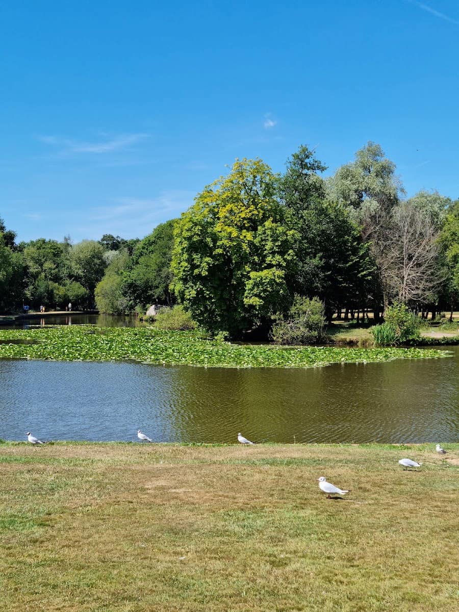 Staunton Country Park, Hampshire