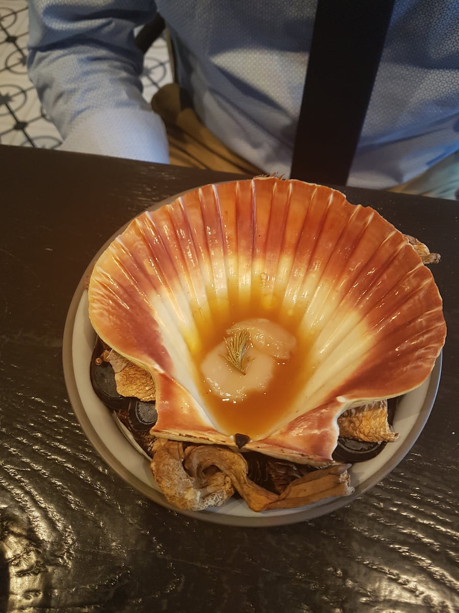 Scallops