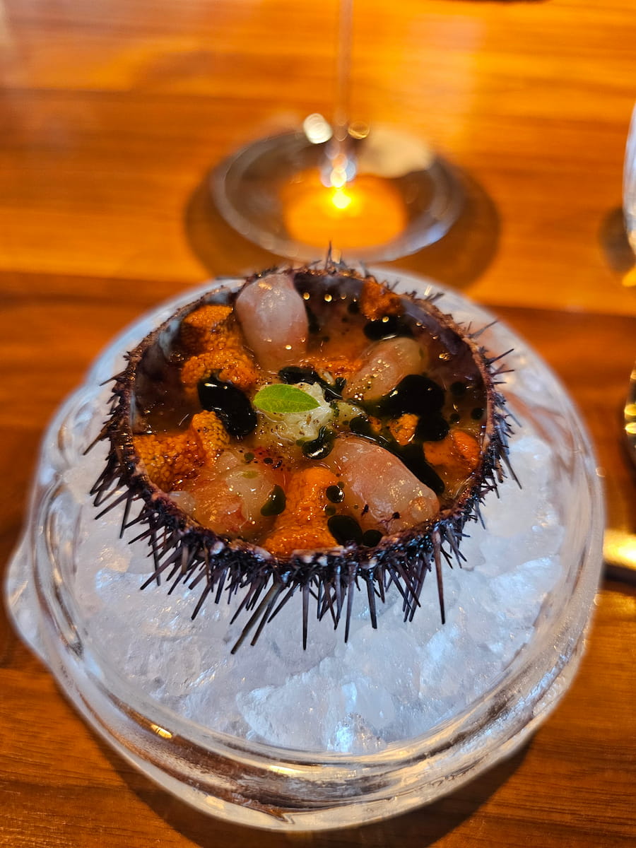 Sea urchins