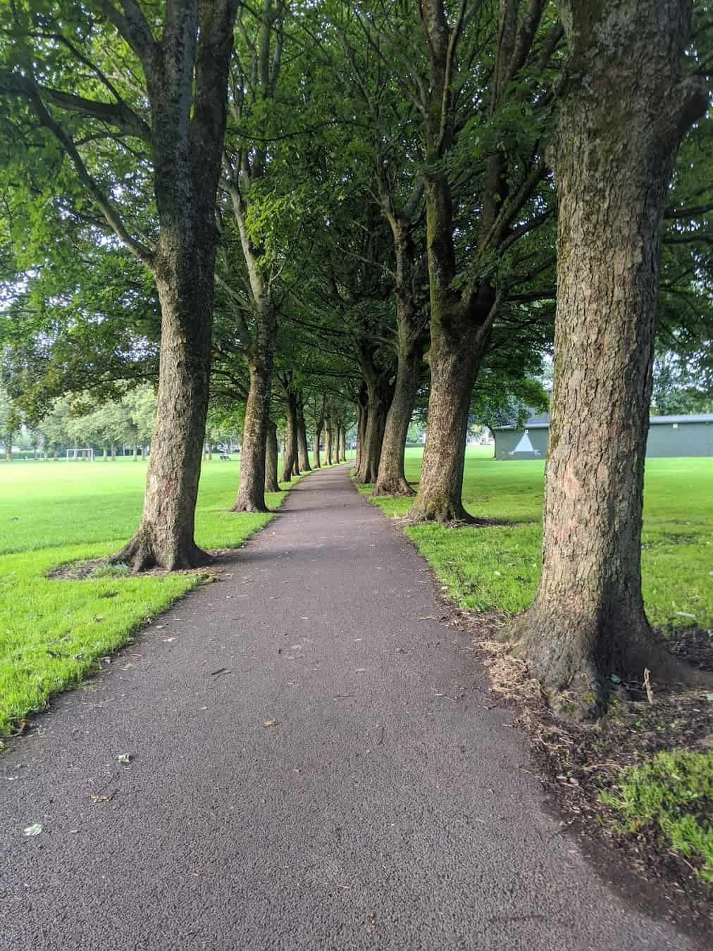 Summer Ribbleton Park, Preston