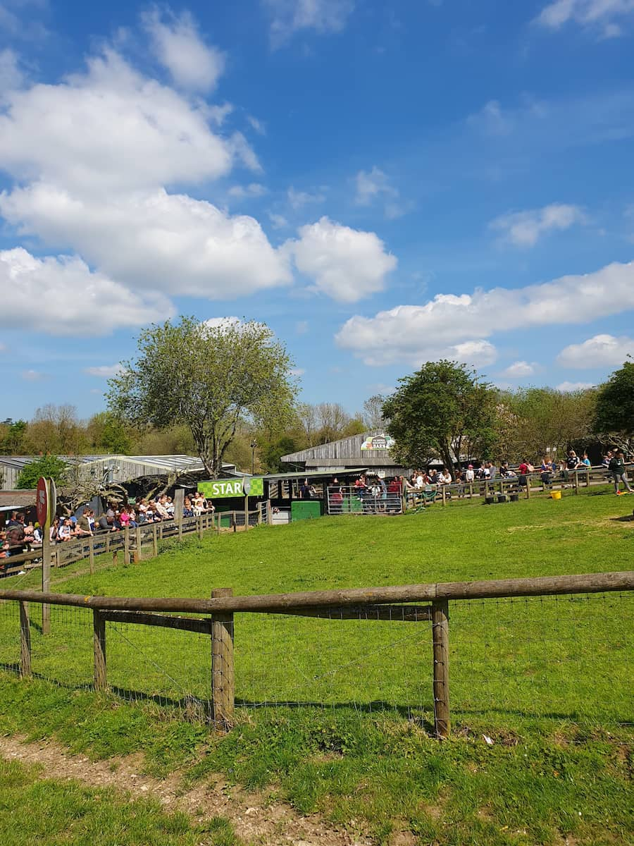 Surrey, Bocketts Farm Park