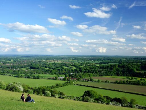 Surrey, Box Hill