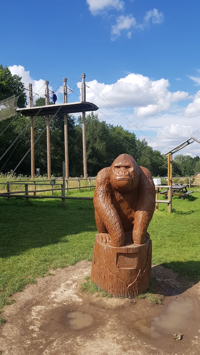 Surrey, Go Ape