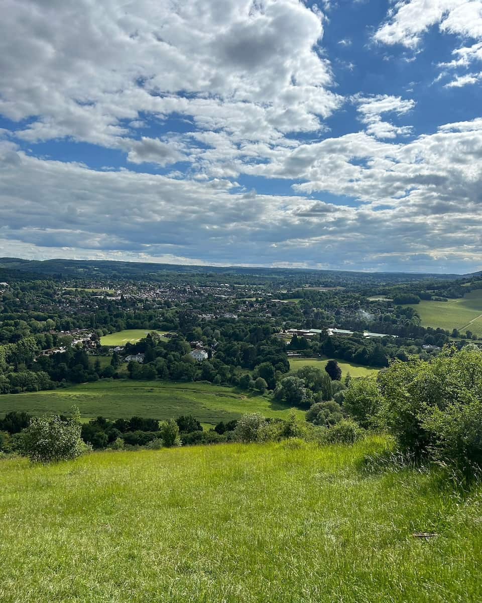 Surrey Hills, Box Hill