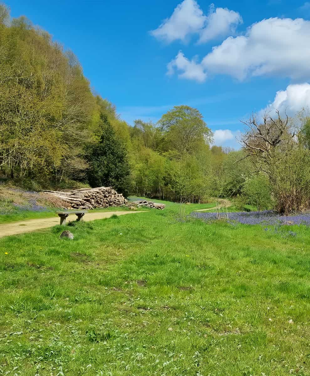 Surrey Hills, Leith Hill