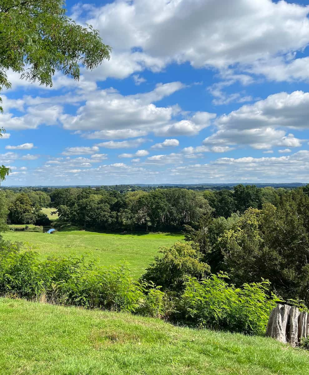 Surrey, Painshill Park