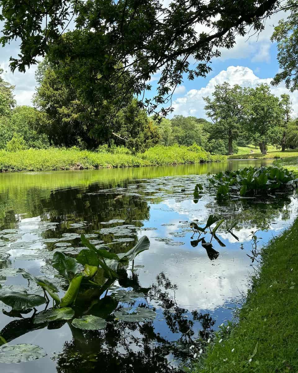 Surrey, Painshill Park