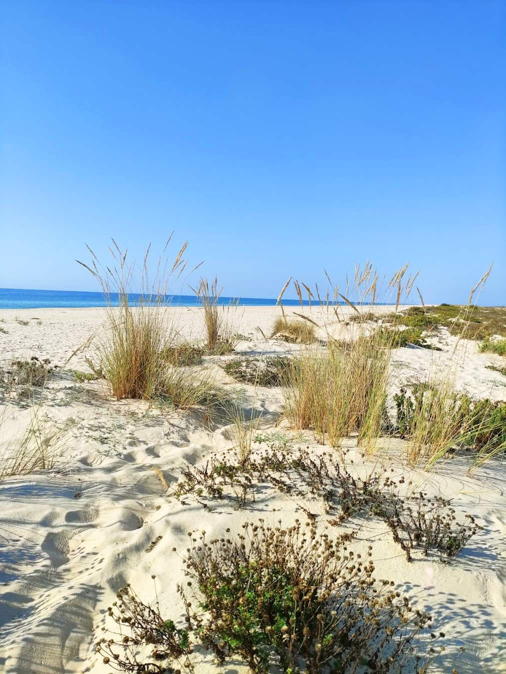 Tavira Island, Portugal