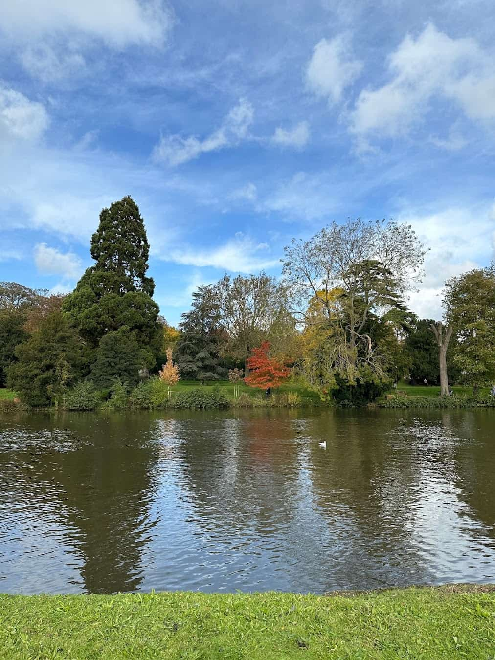 Thames Rivercruise Park, England