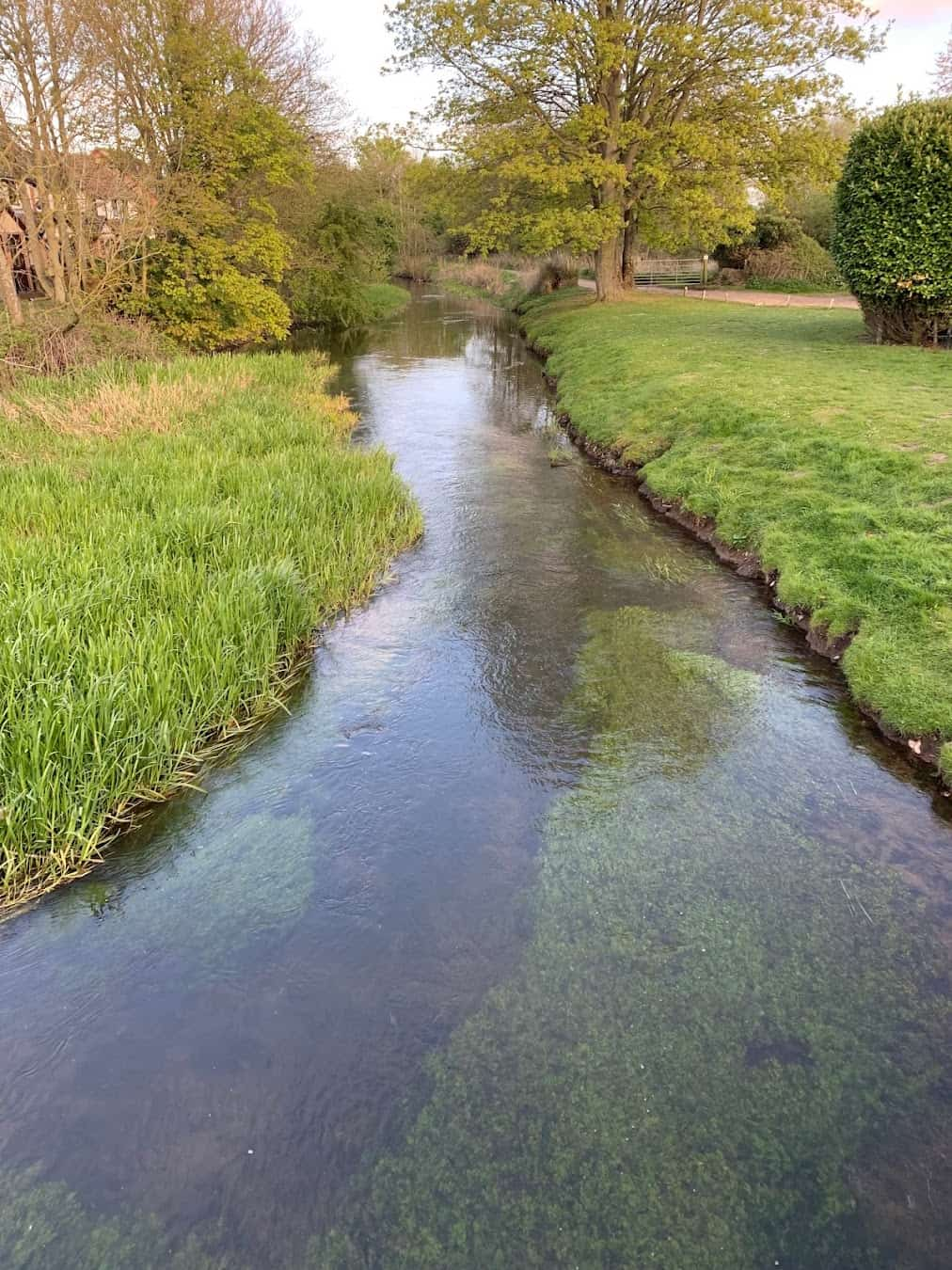 The River Wensum, Norwich