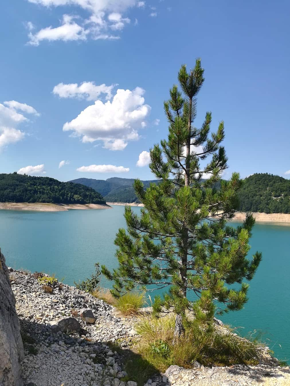 The Tara River, Montenegro