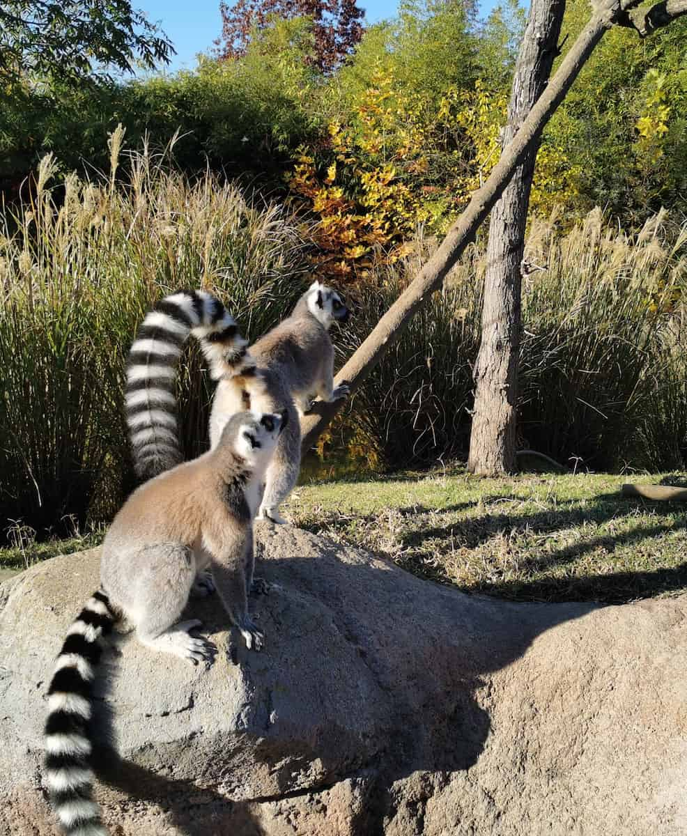 Torino Biopark