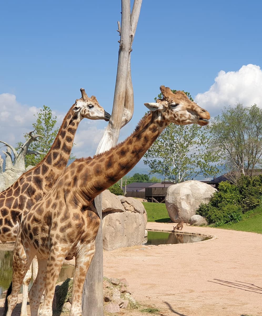 Torino Biopark