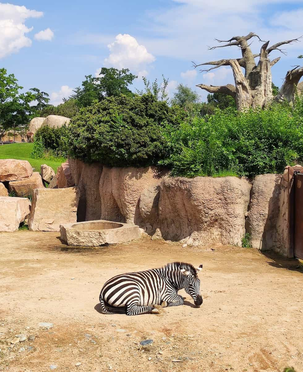 Torino Biopark