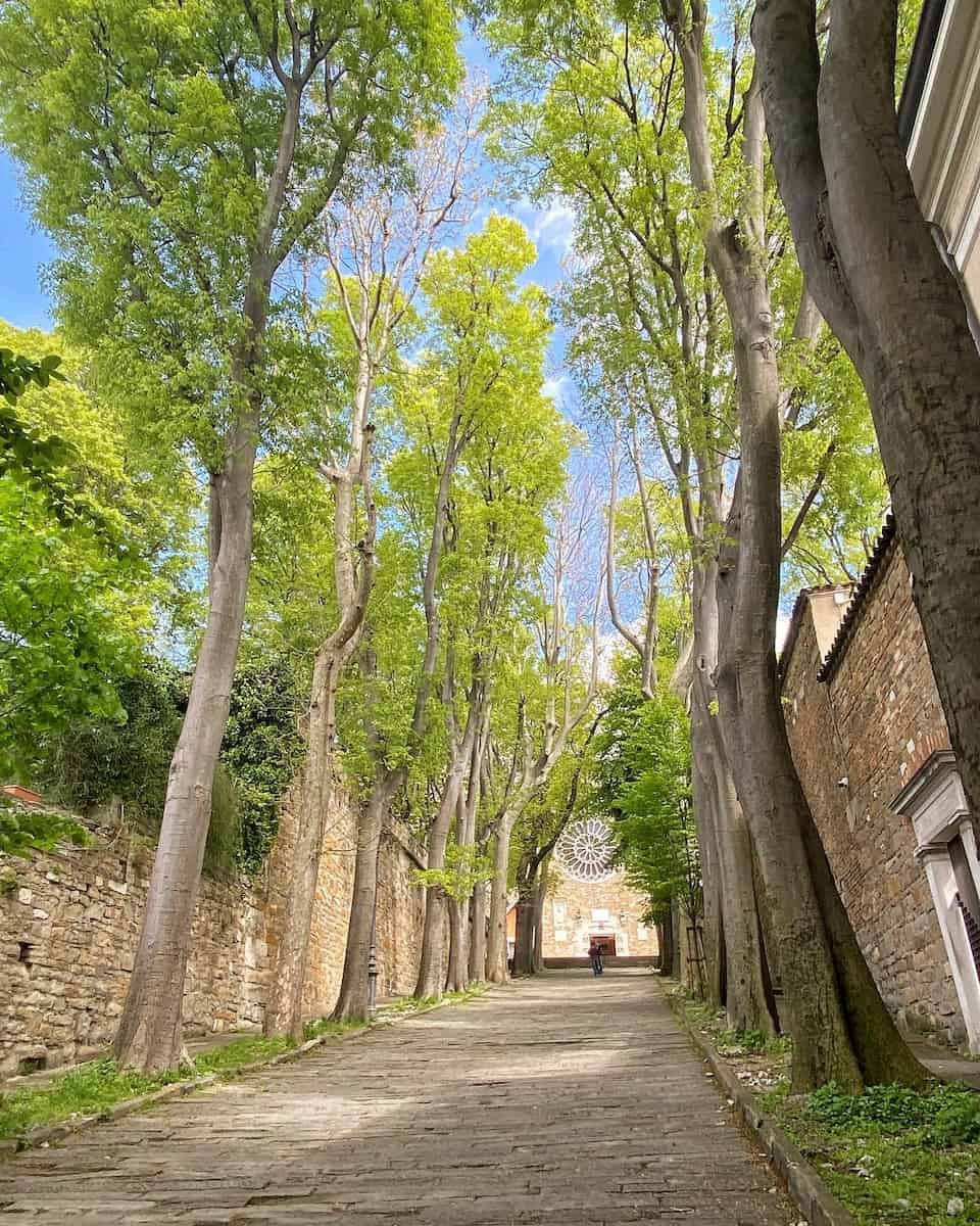 Trieste: Ancient City