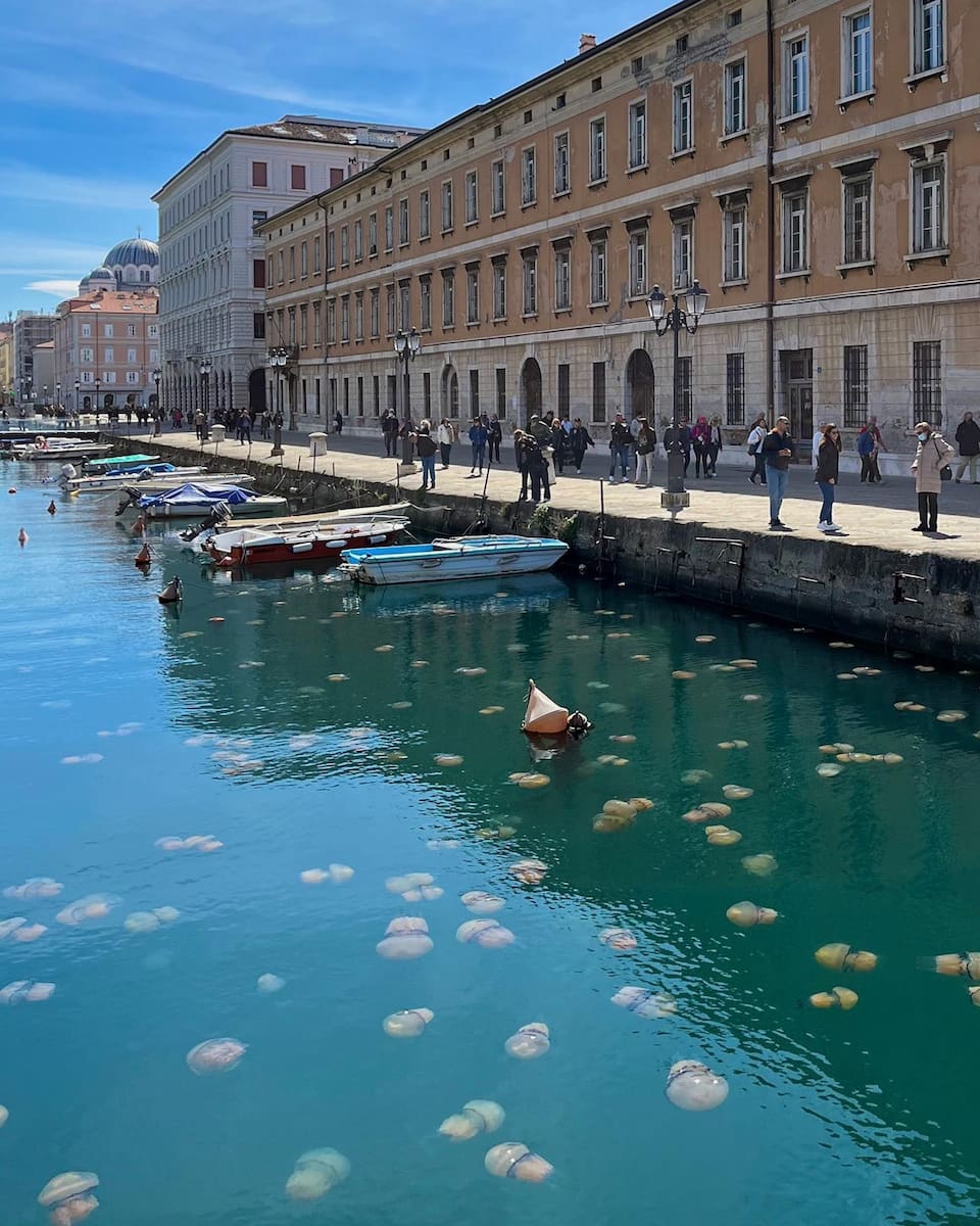 Trieste: Canal Grande