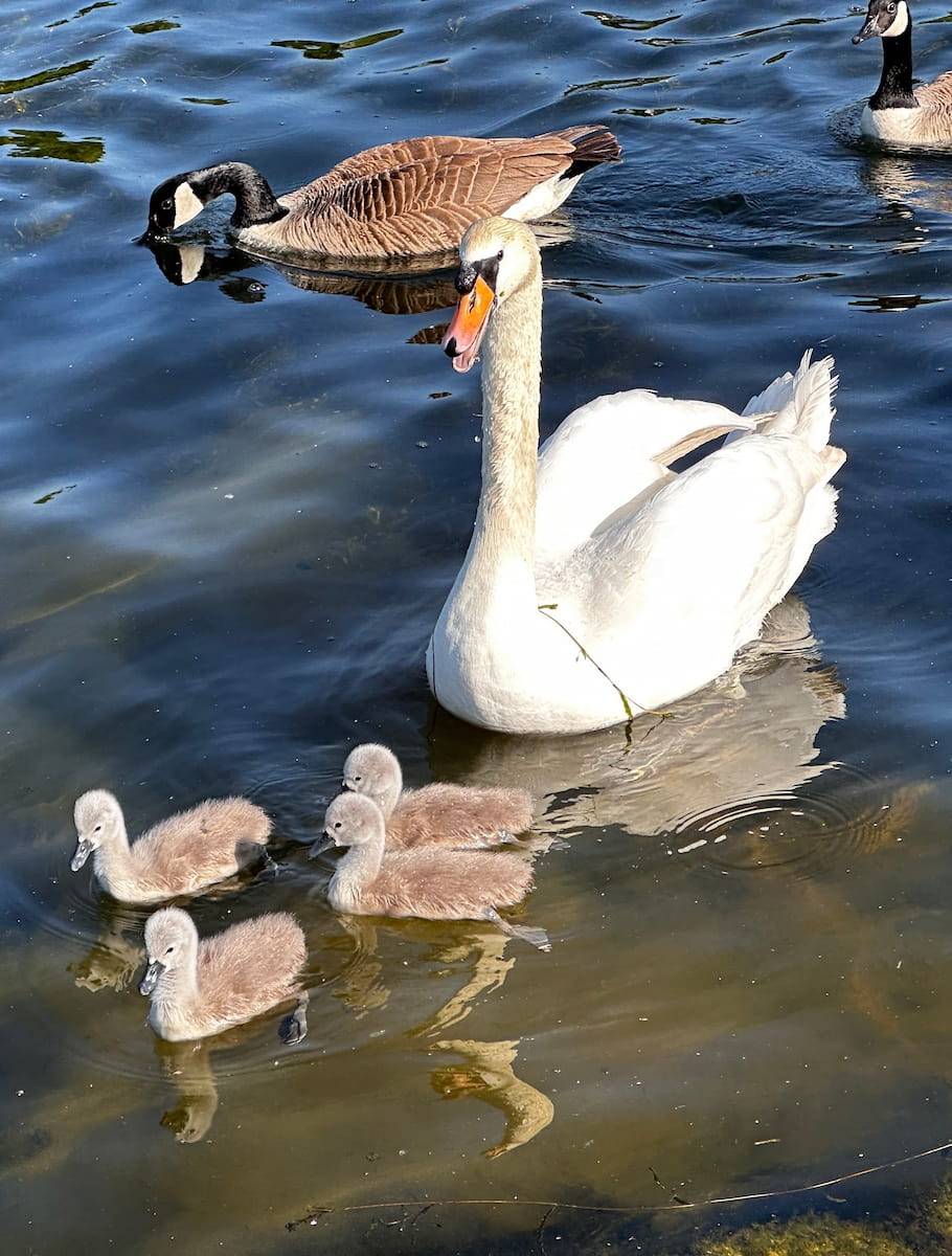 Water Country Park Swindon