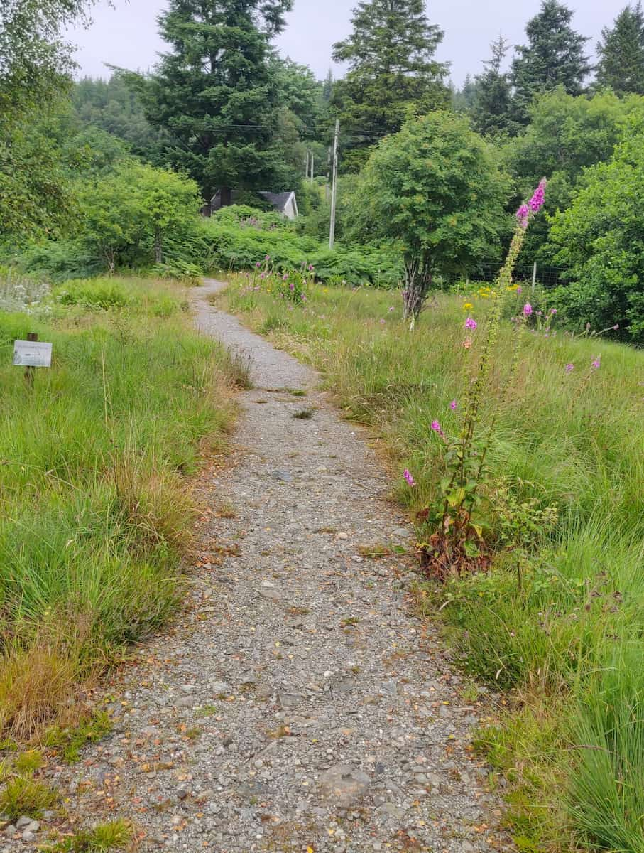 West Highland Way Scotland